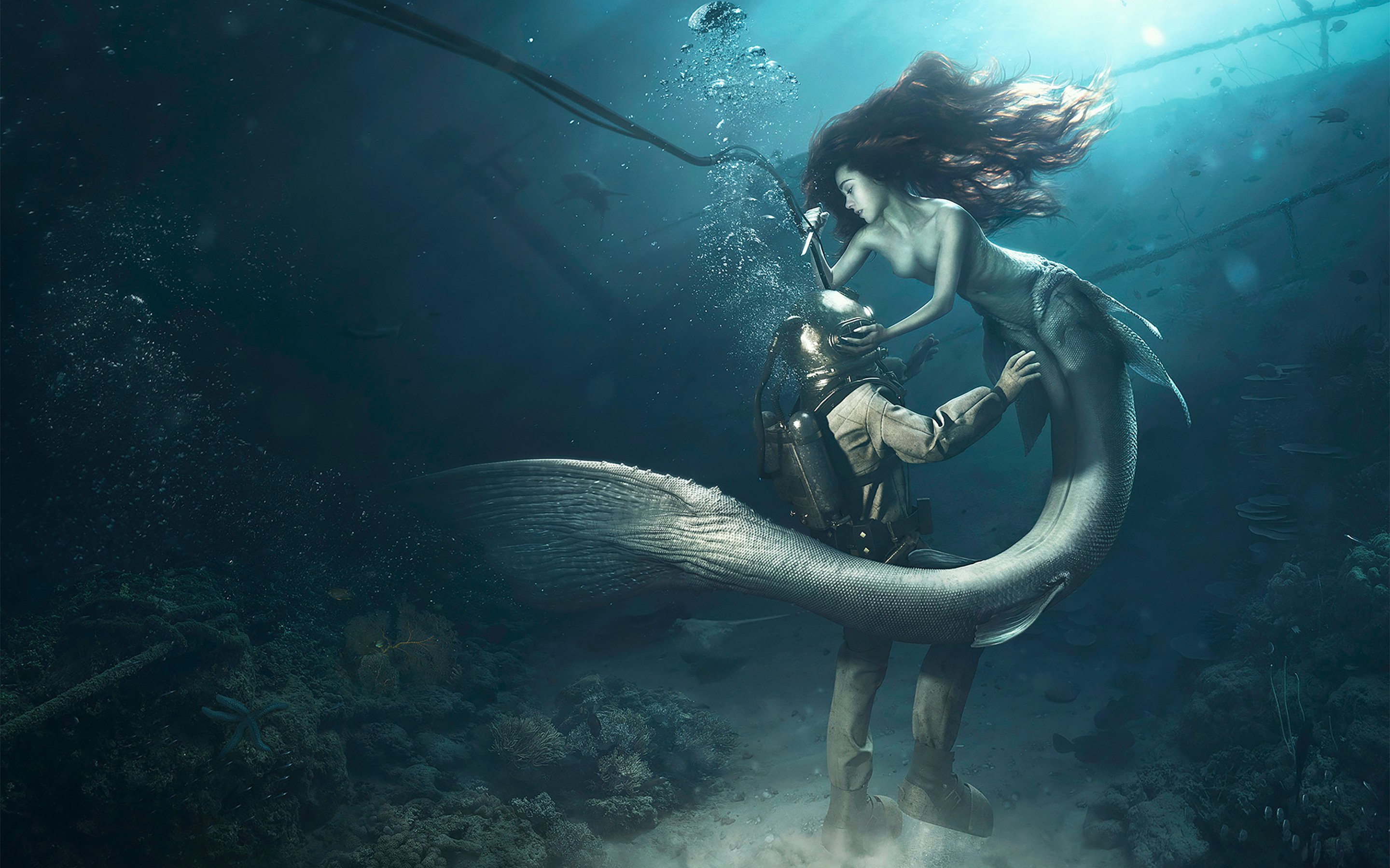 diver and the mermaid wallpapers hd wallpapers 2880x1800