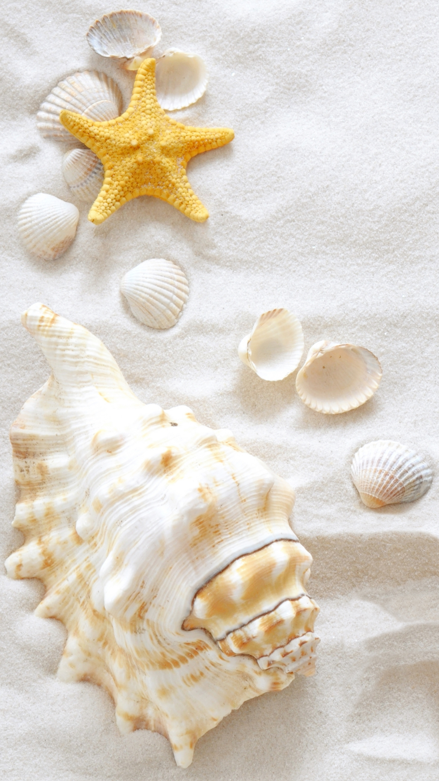 Samsung Galaxy S7 Sand And Clams Wallpaper Gallery Yopriceville