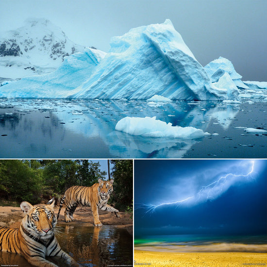 National Geographic Desktop Wallpaper To Relieve Work Stress