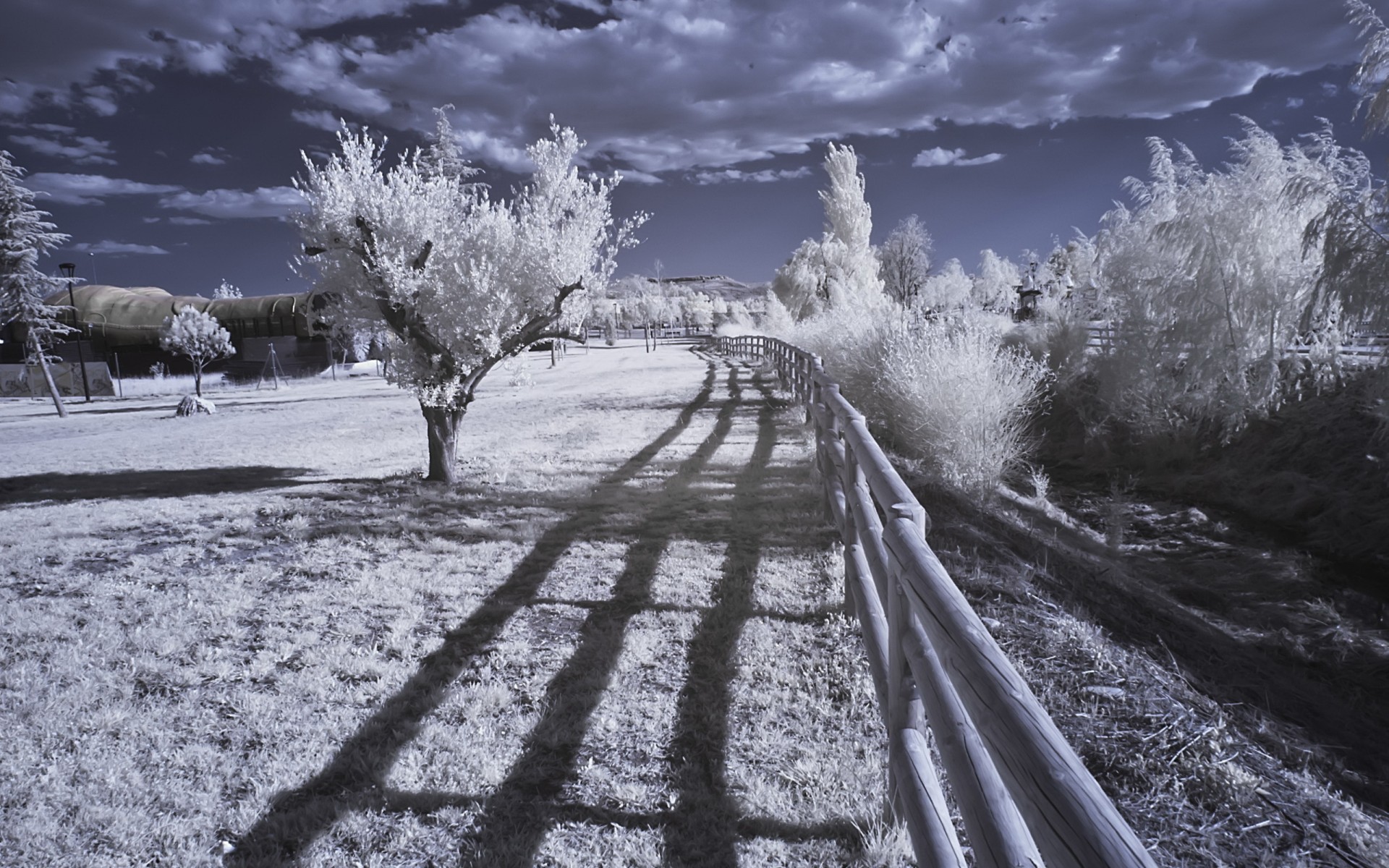 Free download Best 49 Infrared Wallpaper on HipWallpaper Infrared