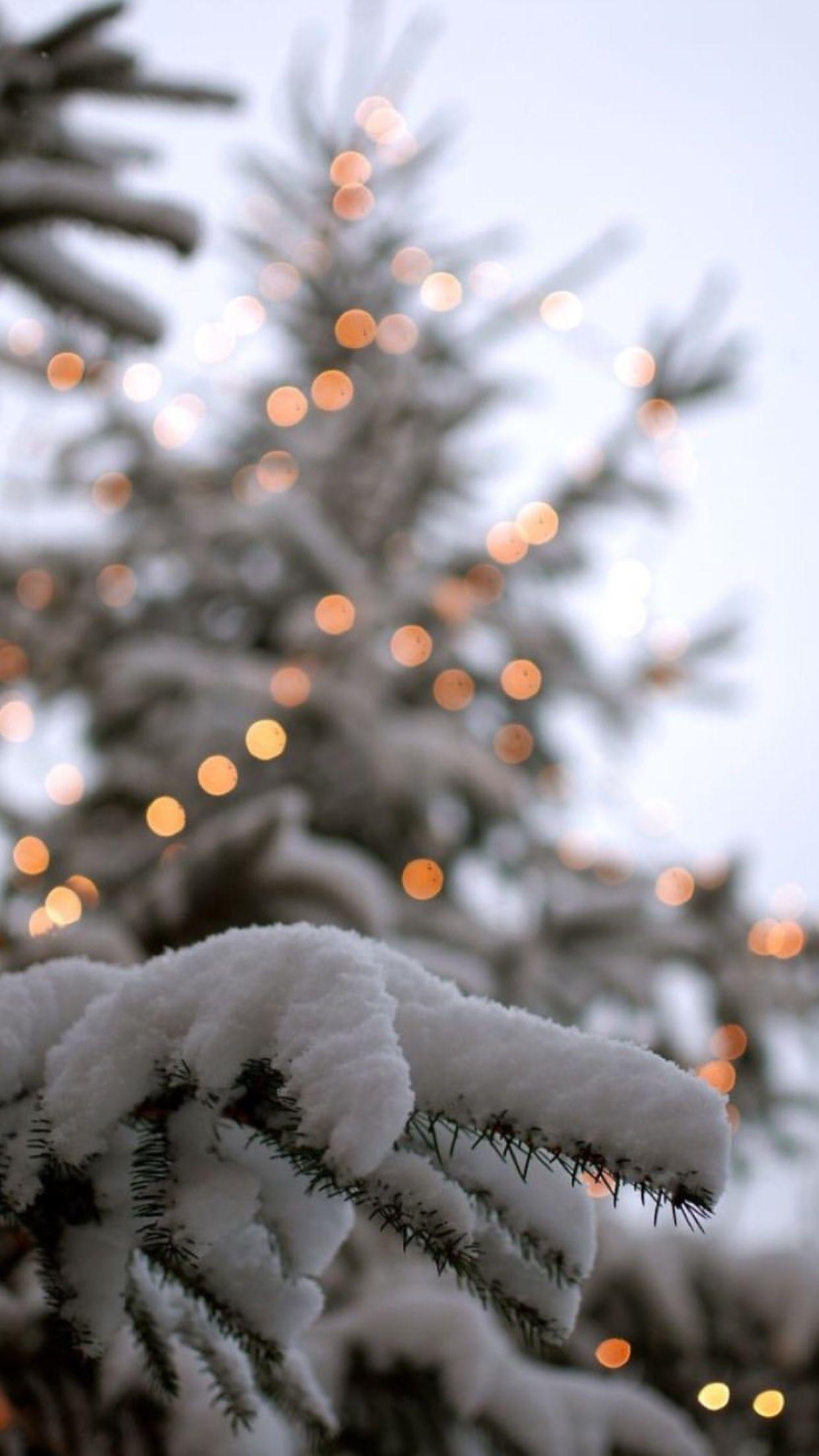 Snow Aesthetic Wallpaper