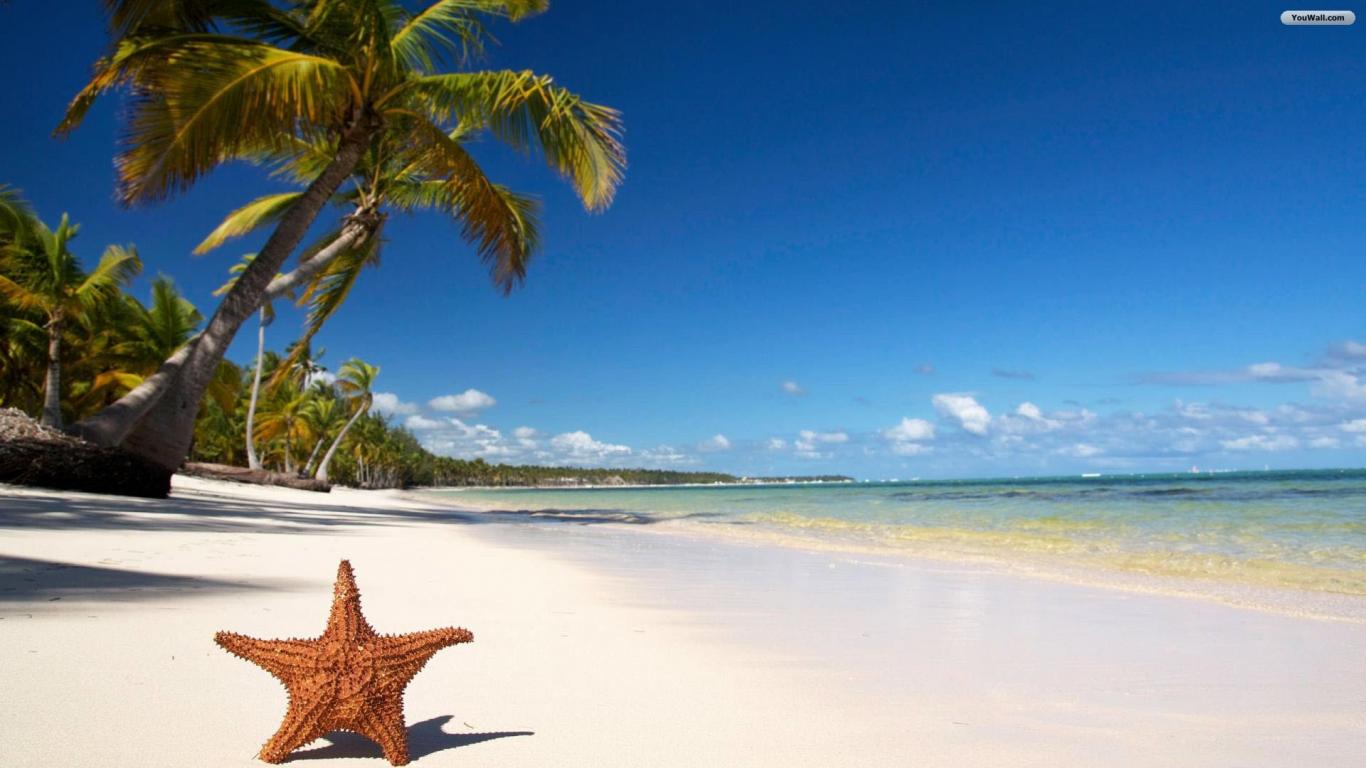 Youwall Tropical Beach Starfish Wallpaper