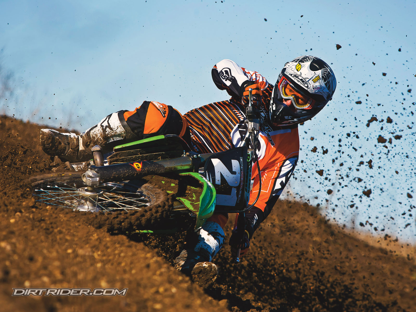 Wallpaper Dirt