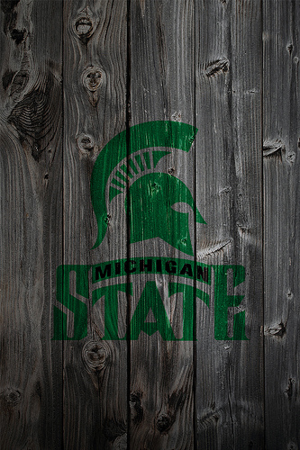 Michigan State Spartans Wood iPhone Background A Photo On