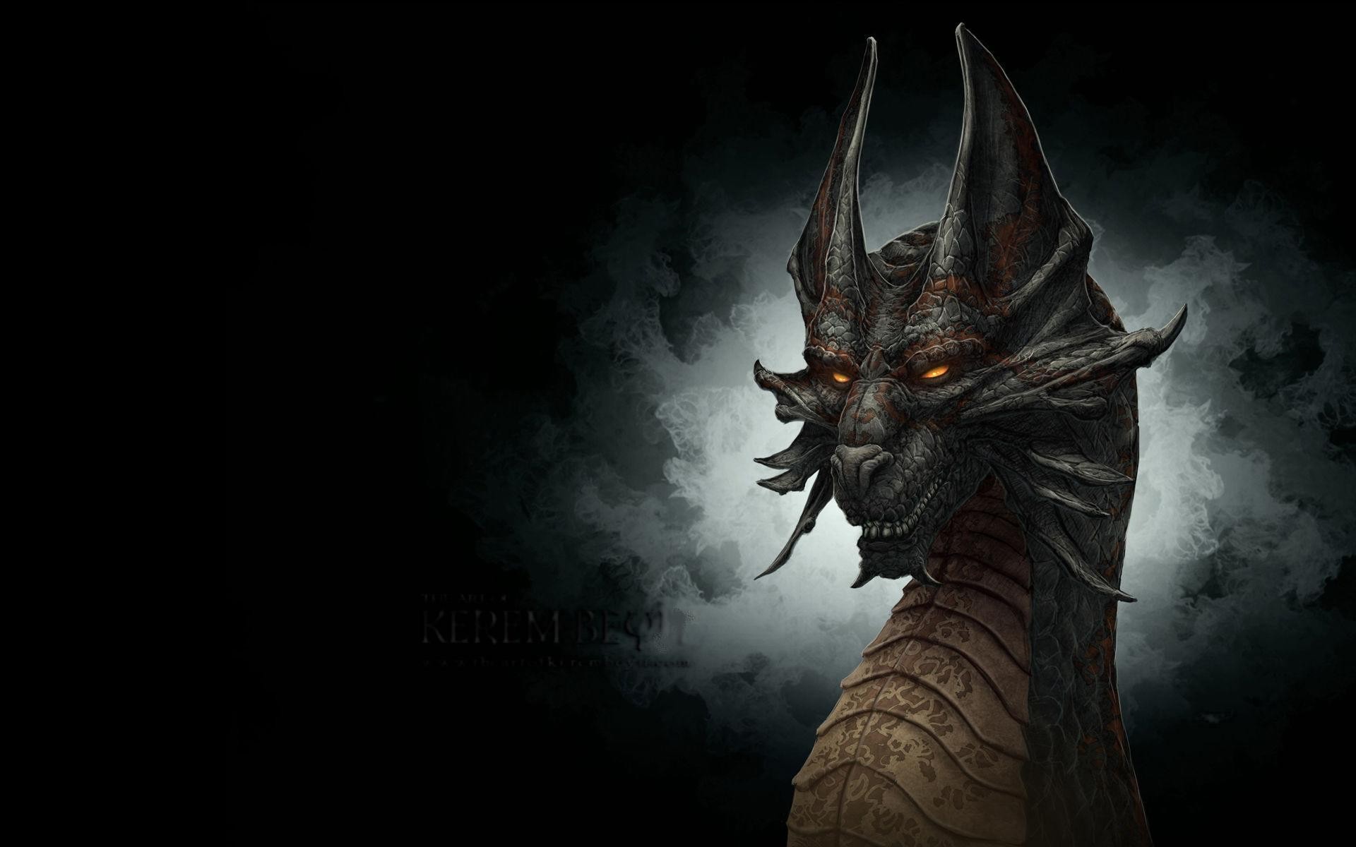 Wallpaper Fantasy Dragons Dragon Image