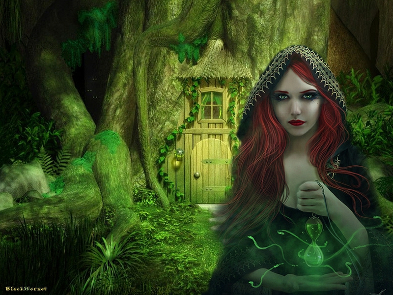 Wallpaper World Evil Witch Wallpapers 800x600
