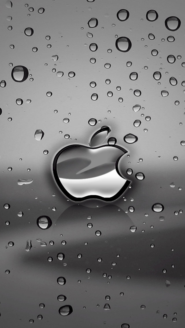 iPhone And Ipod Touch Wallpaper Apple Logo