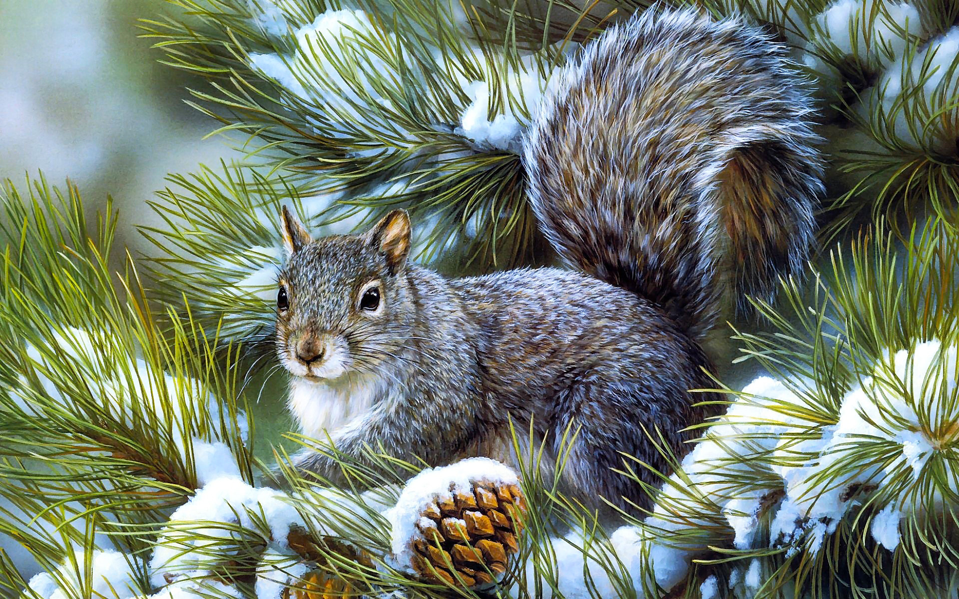 winter snow seasons trees branch limb fir pine face eyes whiskers