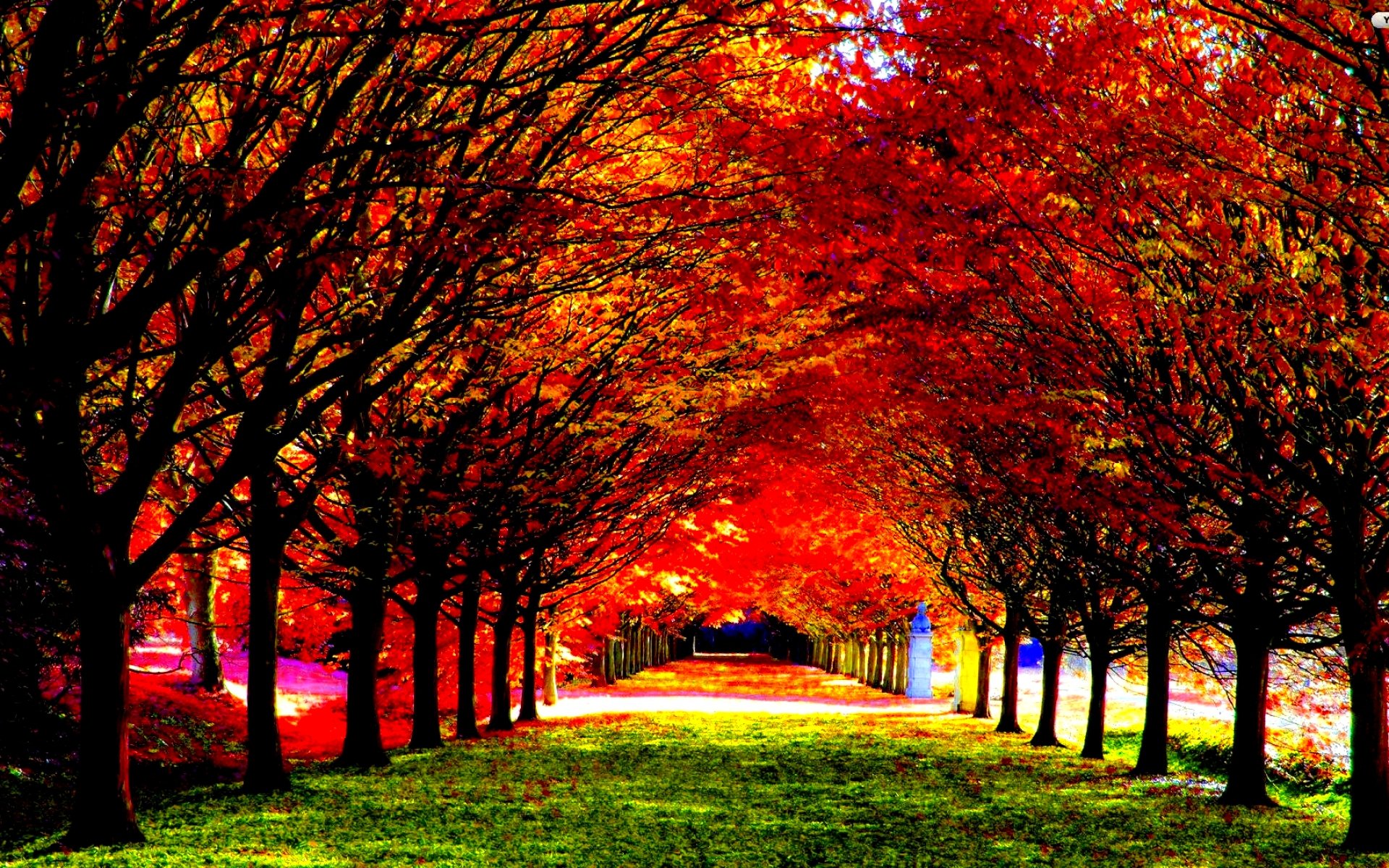 A breathtaking autumn landscape with vibrant red and orange leaves forming a picturesque canopy over a path