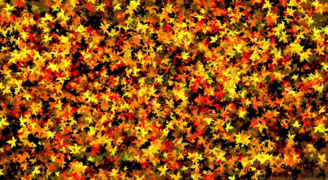 Fall Leaves Background Tumblr Wallpapers Gallery 1108x609