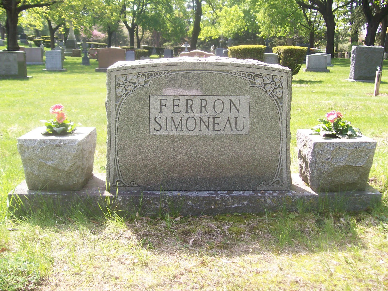 Free download prom dress stores in burlington ontario images