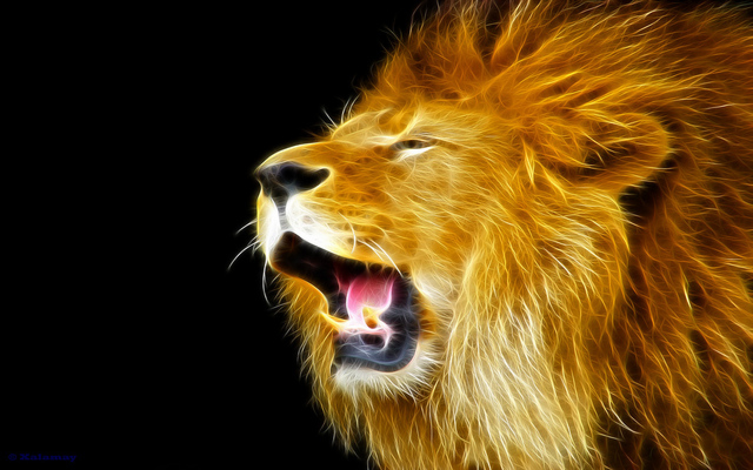 Lion Roar HD Wallpaper