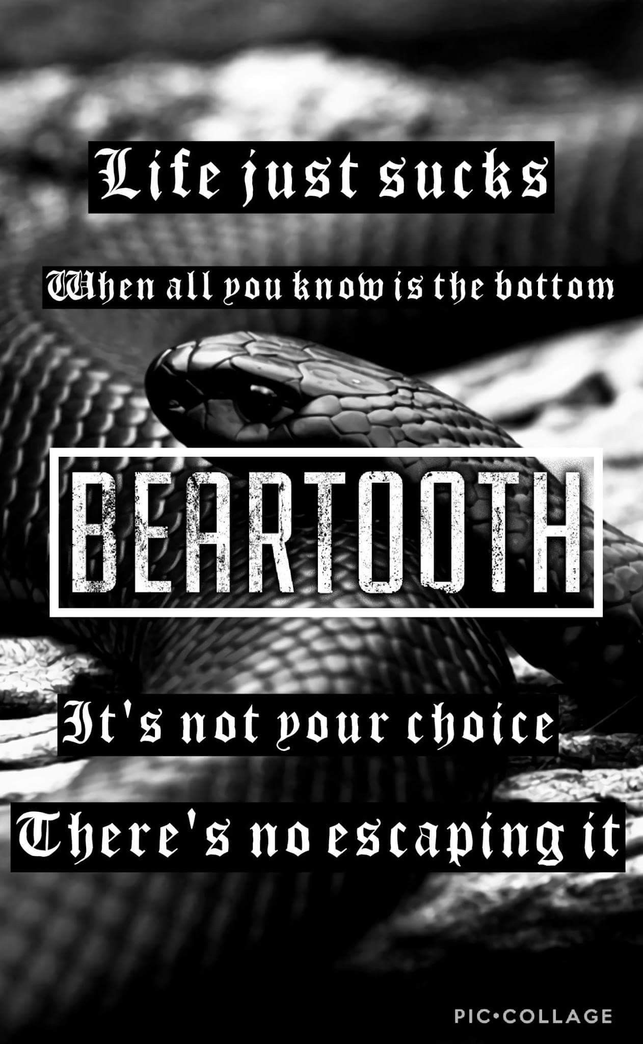Beartooth Band Wallpaper