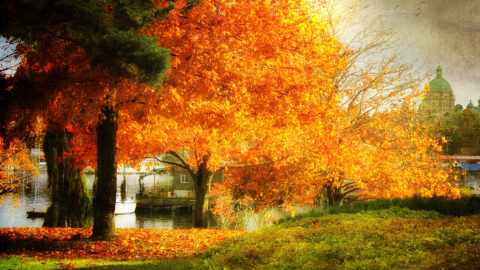 Fantastic Autumn Landscape Wallpaper