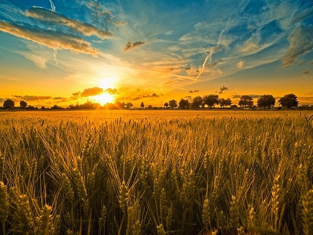 Country Scenes Wallpaper Image Search Results
