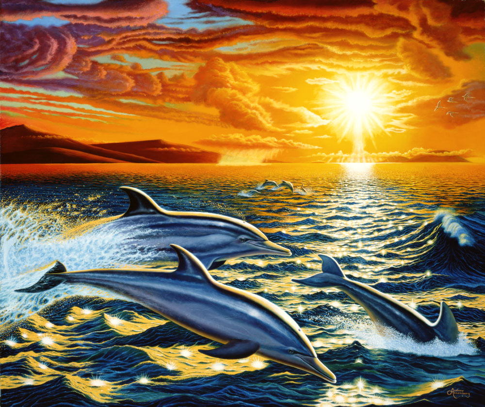 Dolphin Sunset Background Wallpaper HD Background