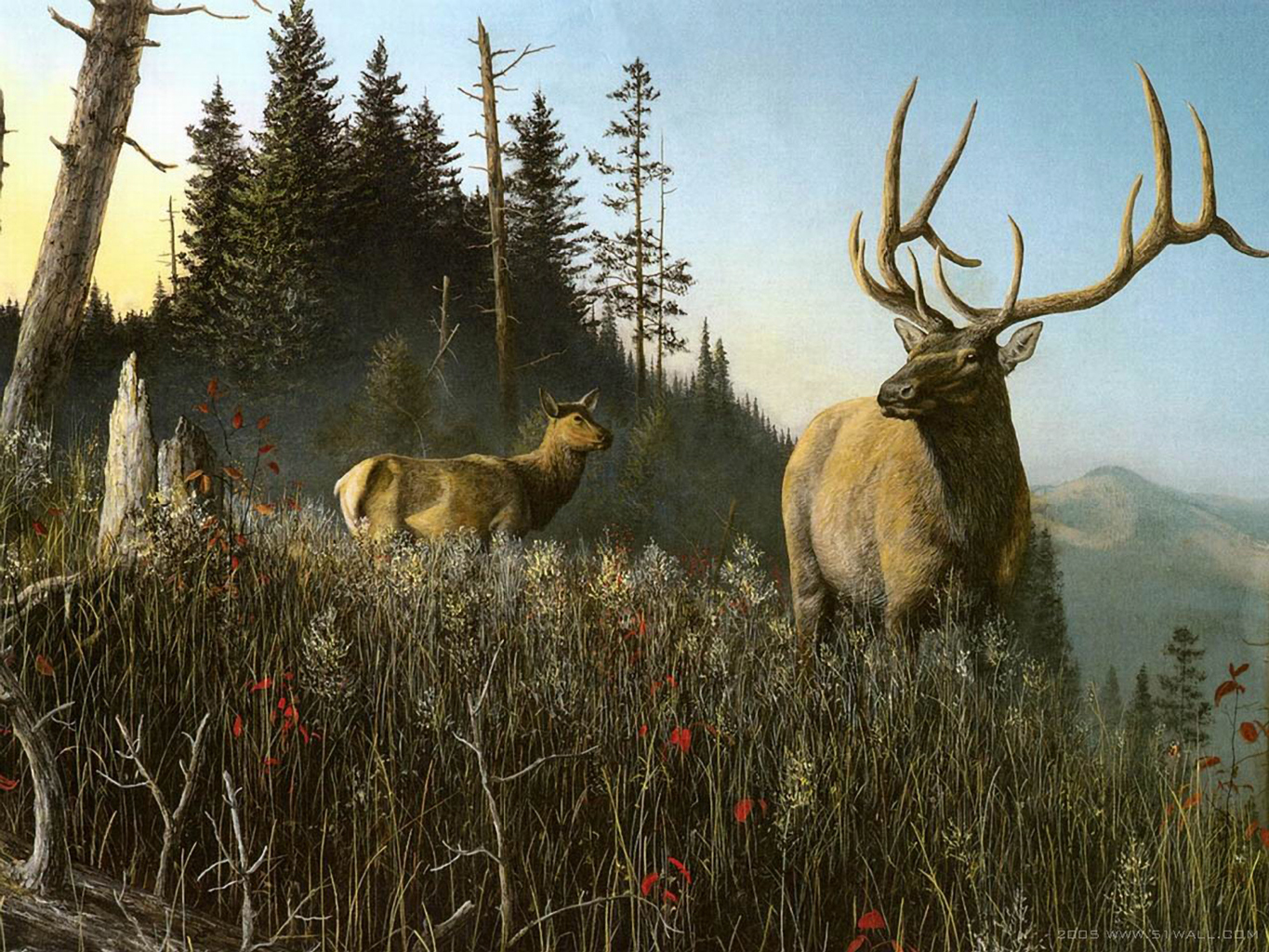 Paintings Nature Wildlife Elk HD Wallpaper Landscapes