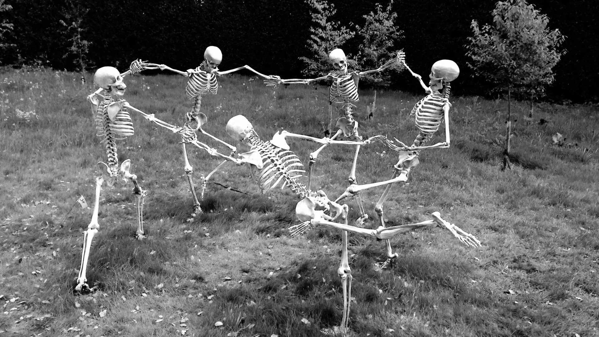 Desktop Skeleton Wallpaper