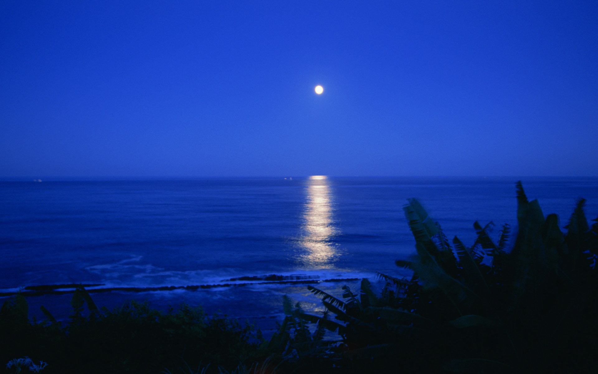 Night Sea Moon Ocean Reflection Wallpaper