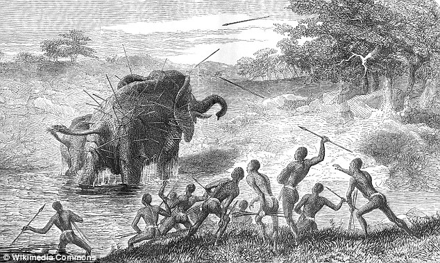 Early Humans Had A Taste For Elephants And Preferred The