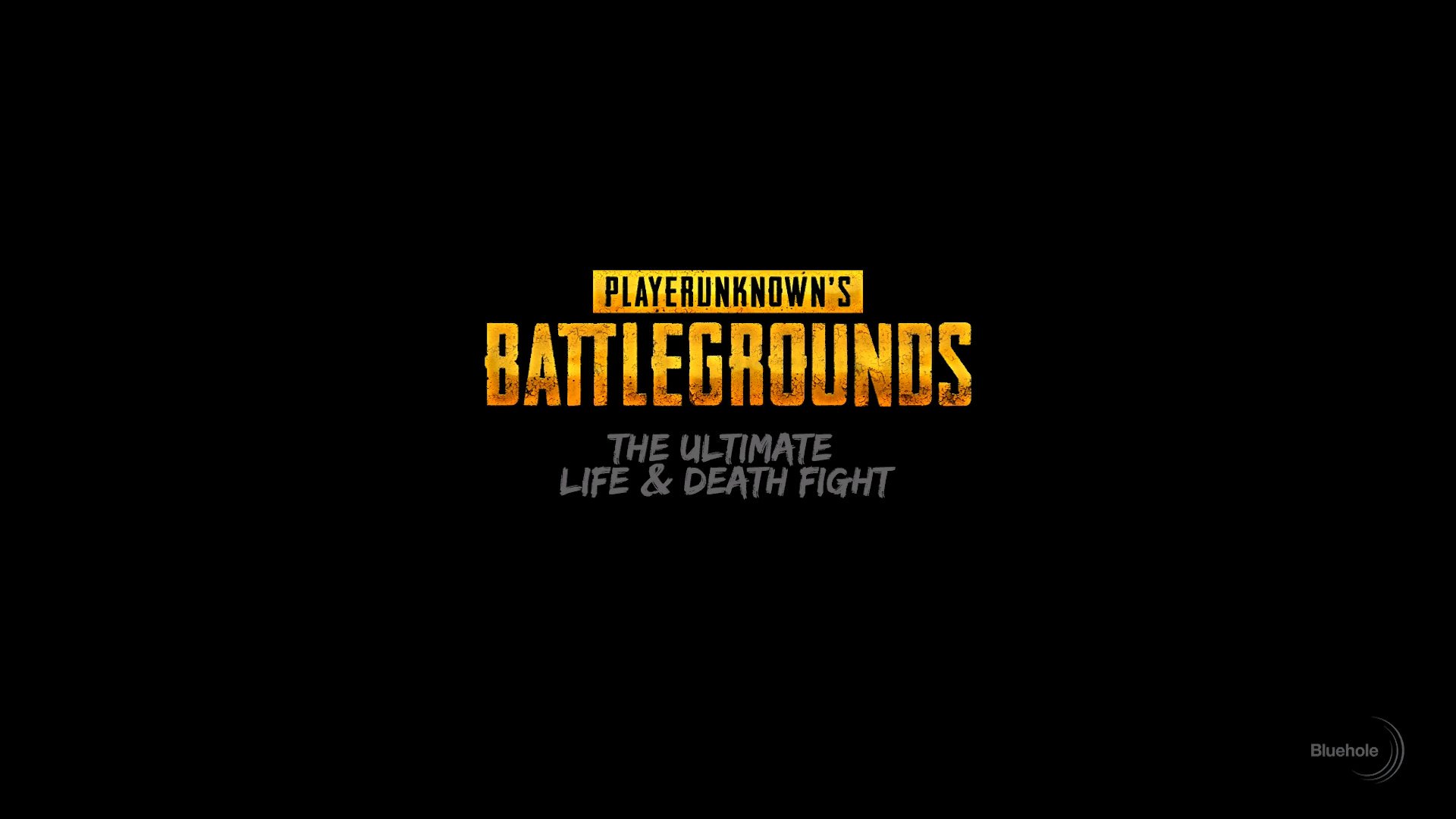 Pubg Ultimate Fight HD Desktop Wallpaper