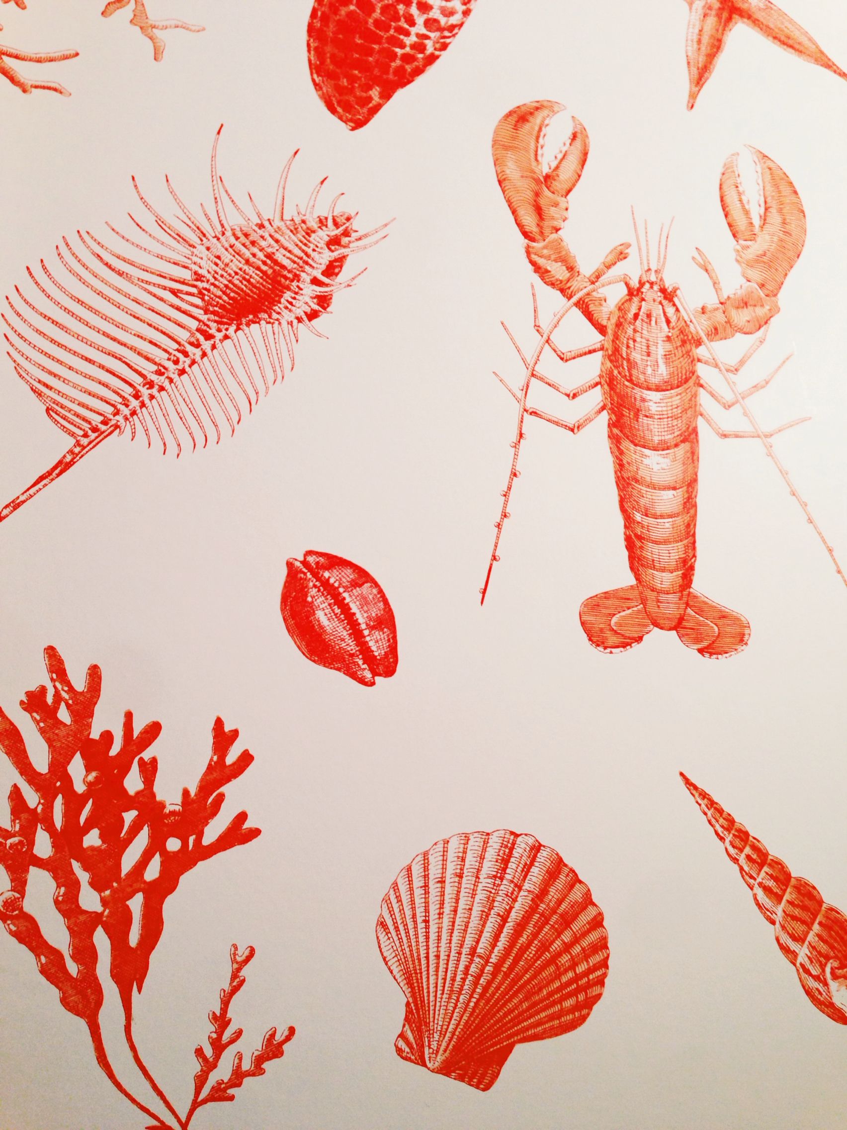 Lobster Wallpaper On Nantucket Art Bathroom