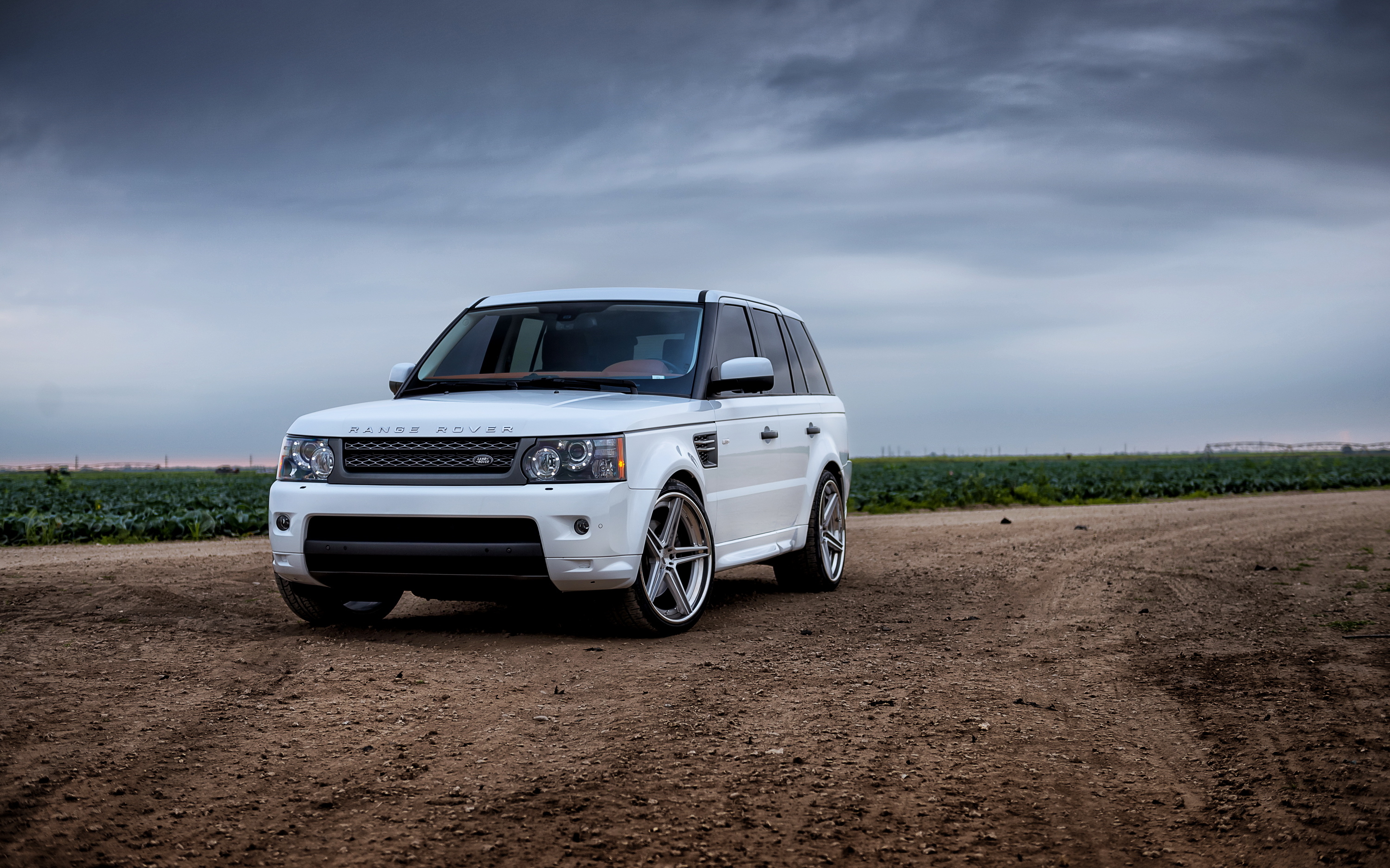 Wallpaper Range Rover White Auto