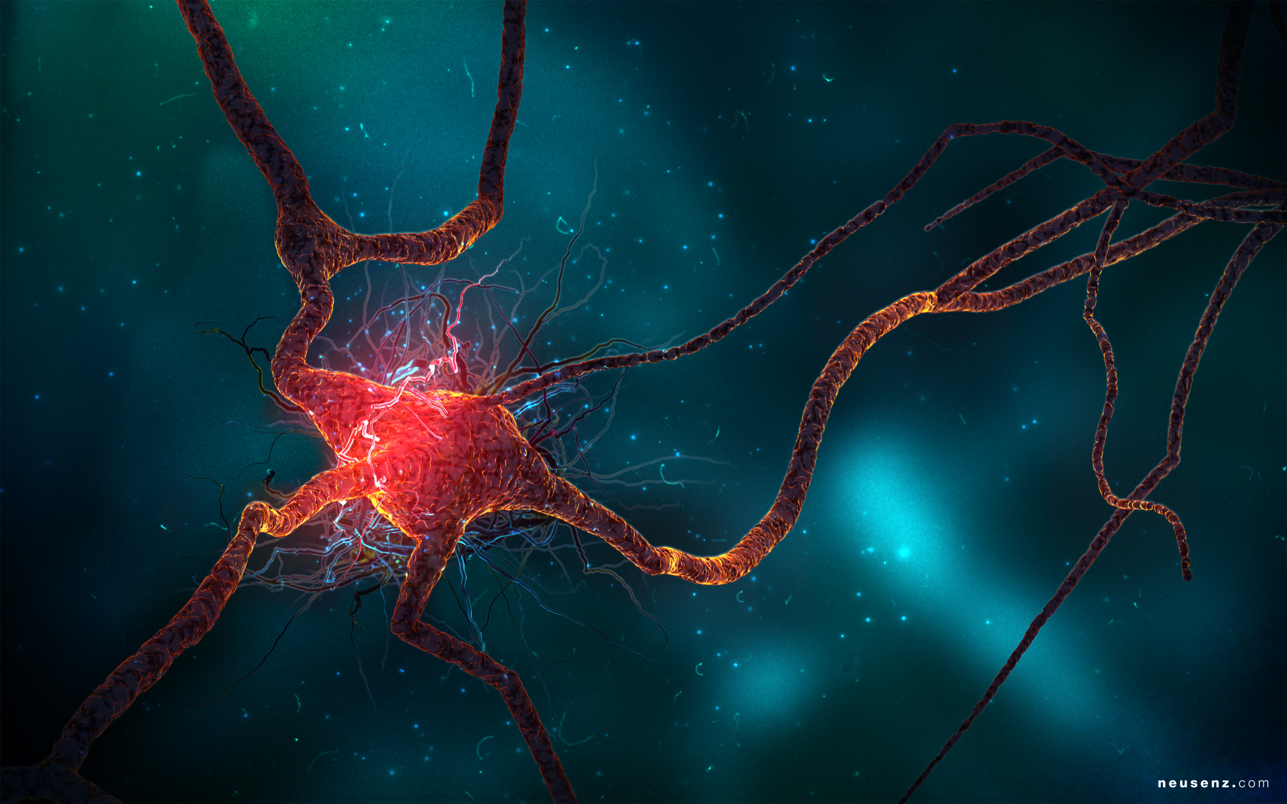 Neuron Cell Wallpapers HD Wallpapers 2560x1600