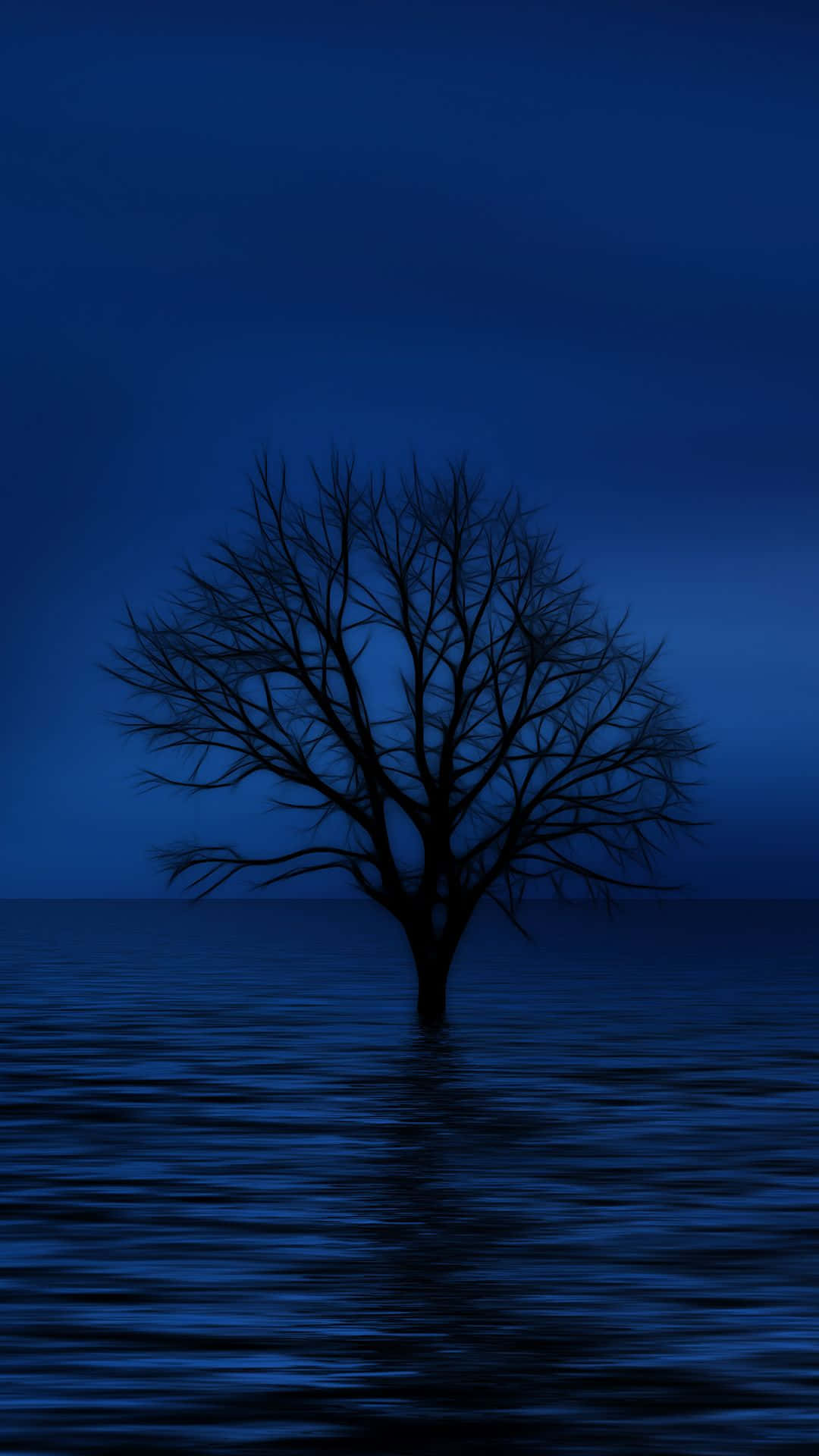 Blue Phone Wallpaper
