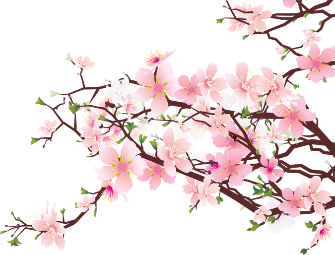 Cherry Blossom Tree Clip Art Clipart Best