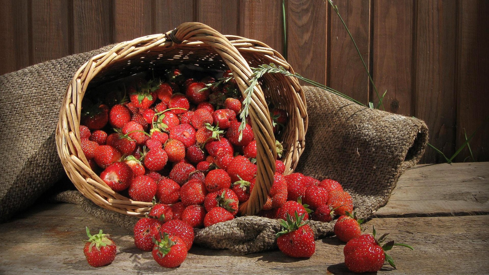 Strawberry Fruits Wallpaper HD