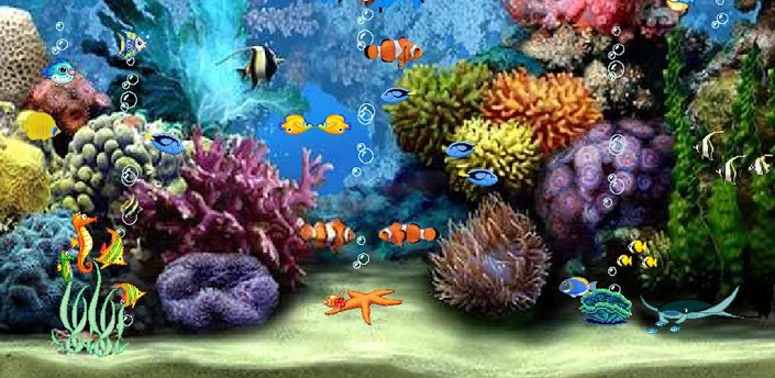 Image Live Aquarium Desktop Wallpaper For Windows Pc