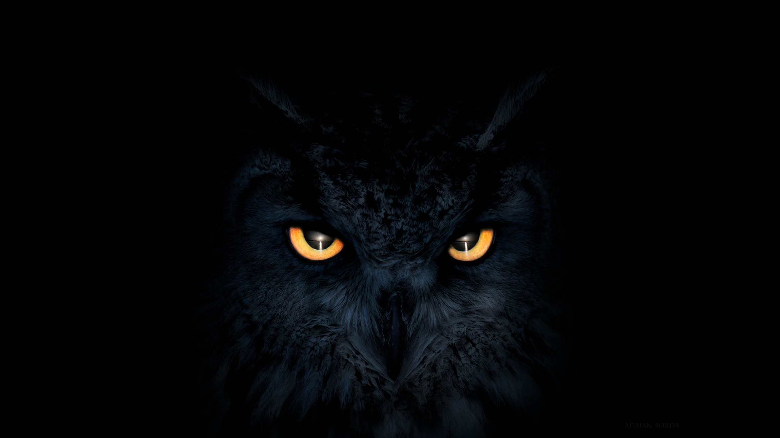Glowing Eyes Wallpaper Glow