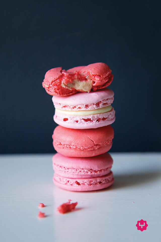 Mad For Macarons Wallpaper August Yuppiechef