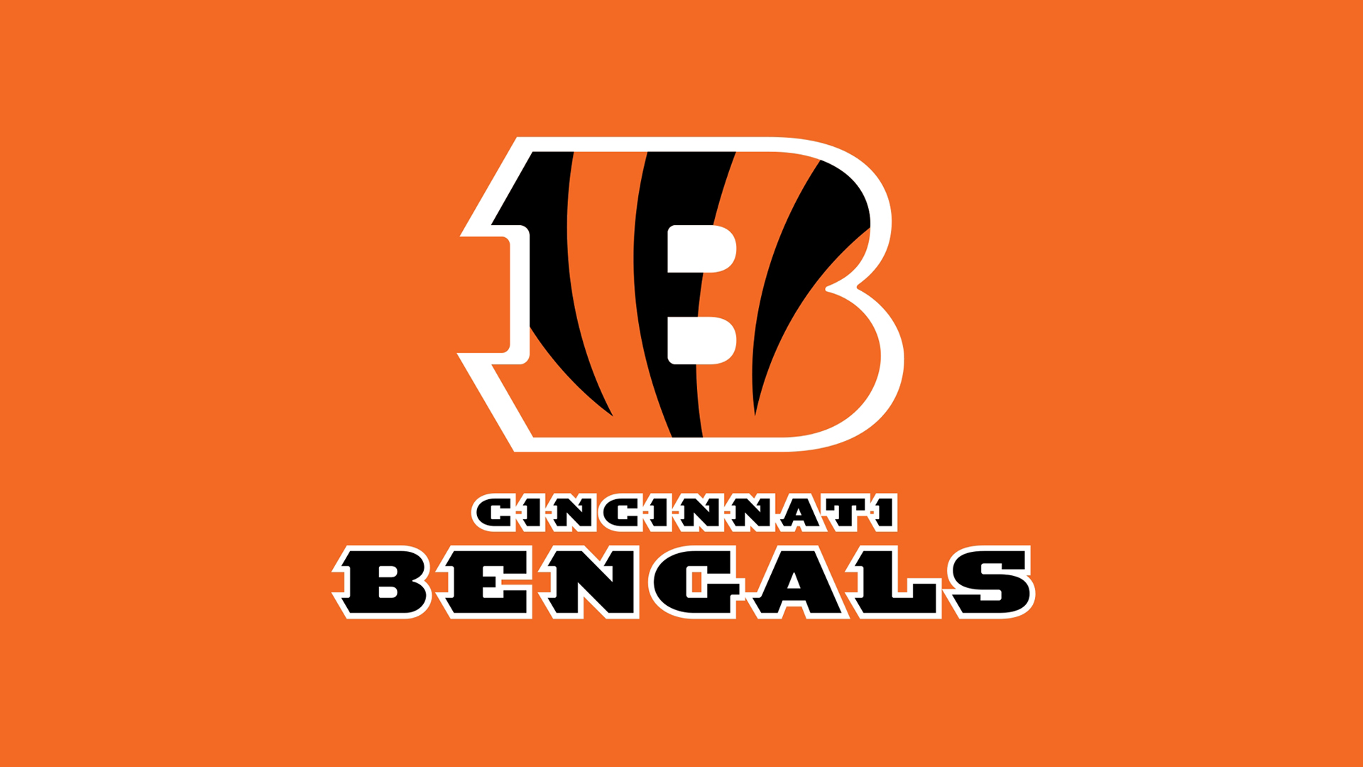 Bengals Poster Related Keywords Suggestions   Bengals Poster Long