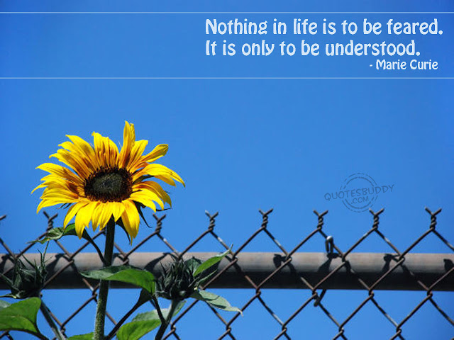 Quote And The Picture Of Yellow Flower Amazing Wallpaper Quotes