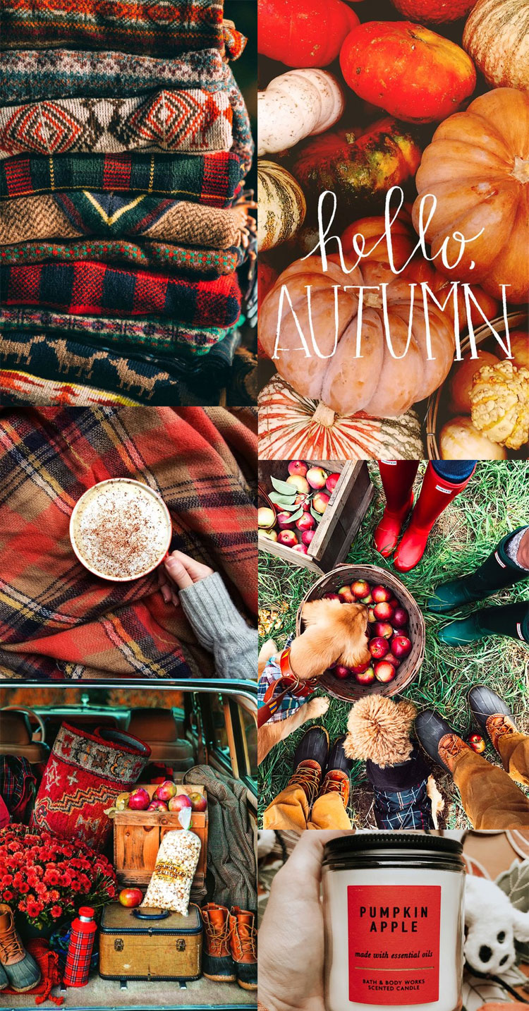 20 Autumn Collage Wallpapers Red Apple Autumn 1   Fab Mood