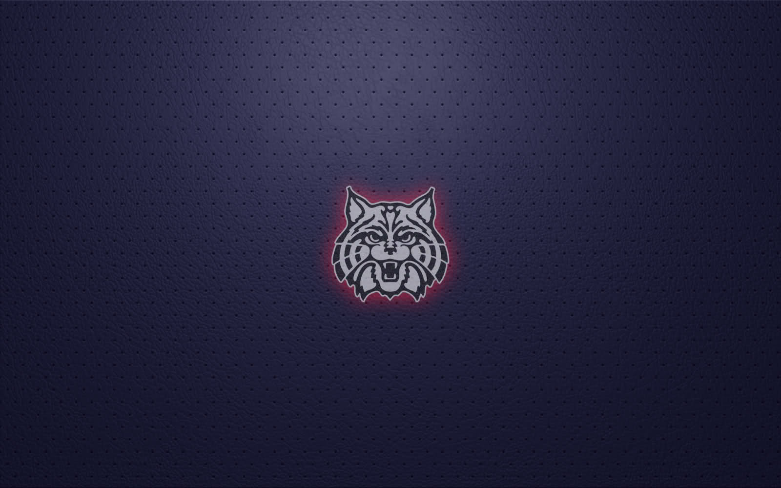 University of Arizona Wildcats Wallpaper 1600x1000