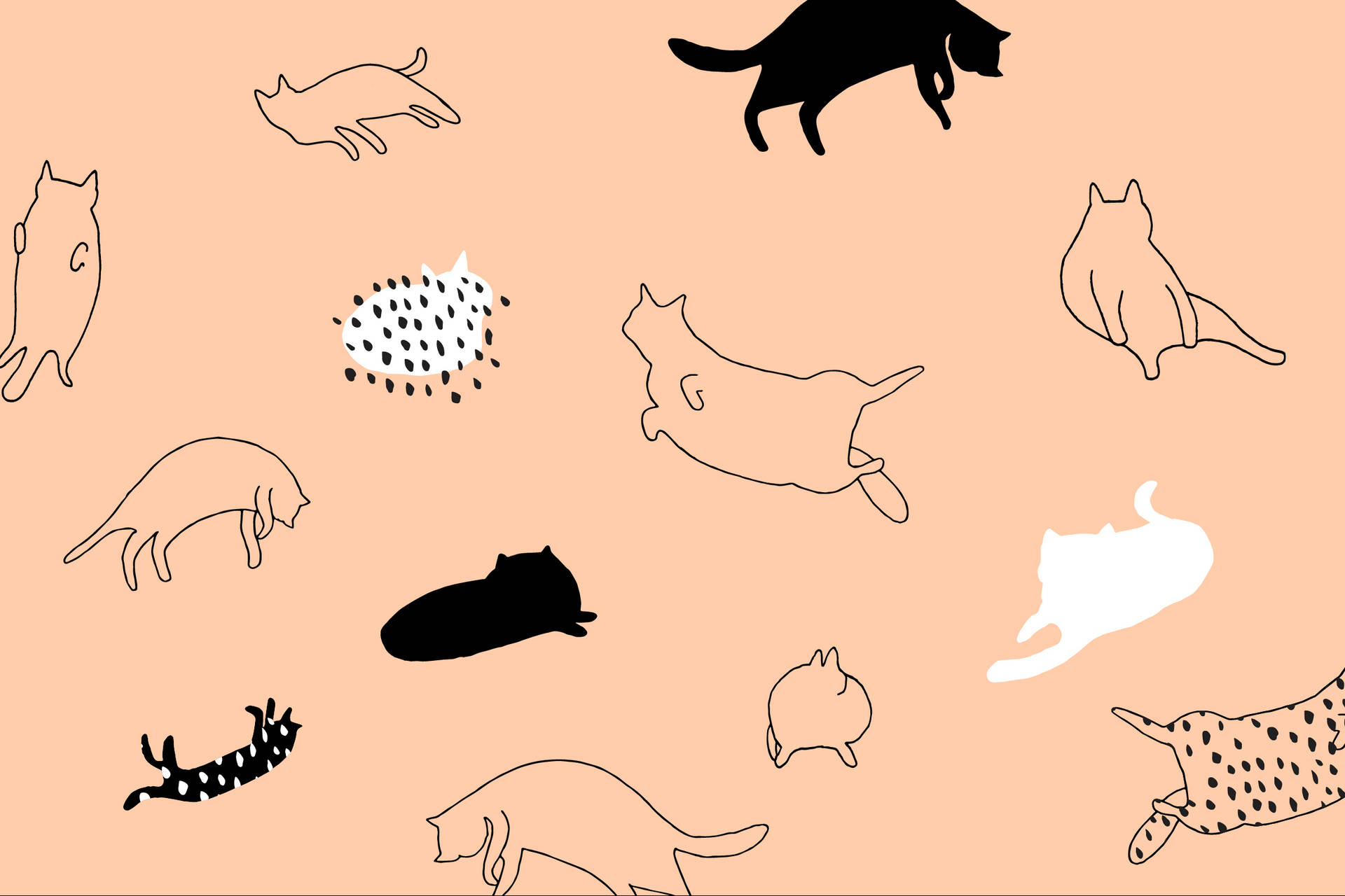 Cat Art Wallpaper