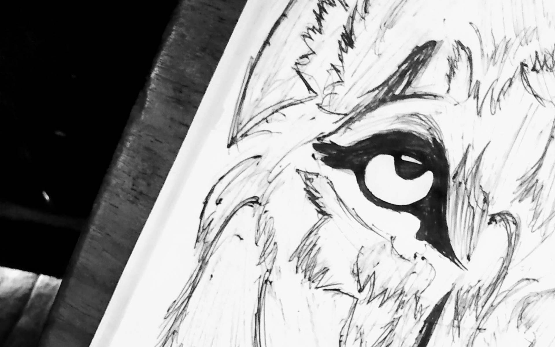 Top Pencil Drawing Wallpaper Full HD 4k To Use