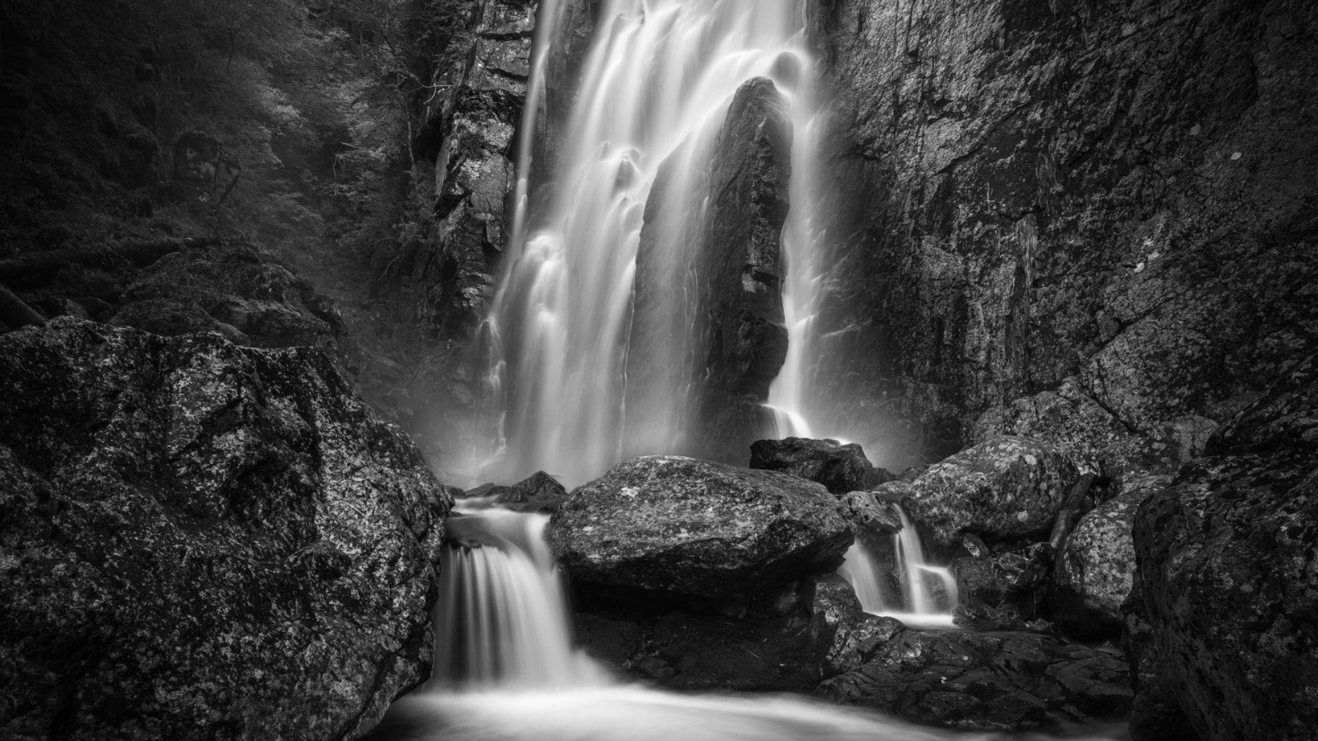 Black And White Art Wallpaper