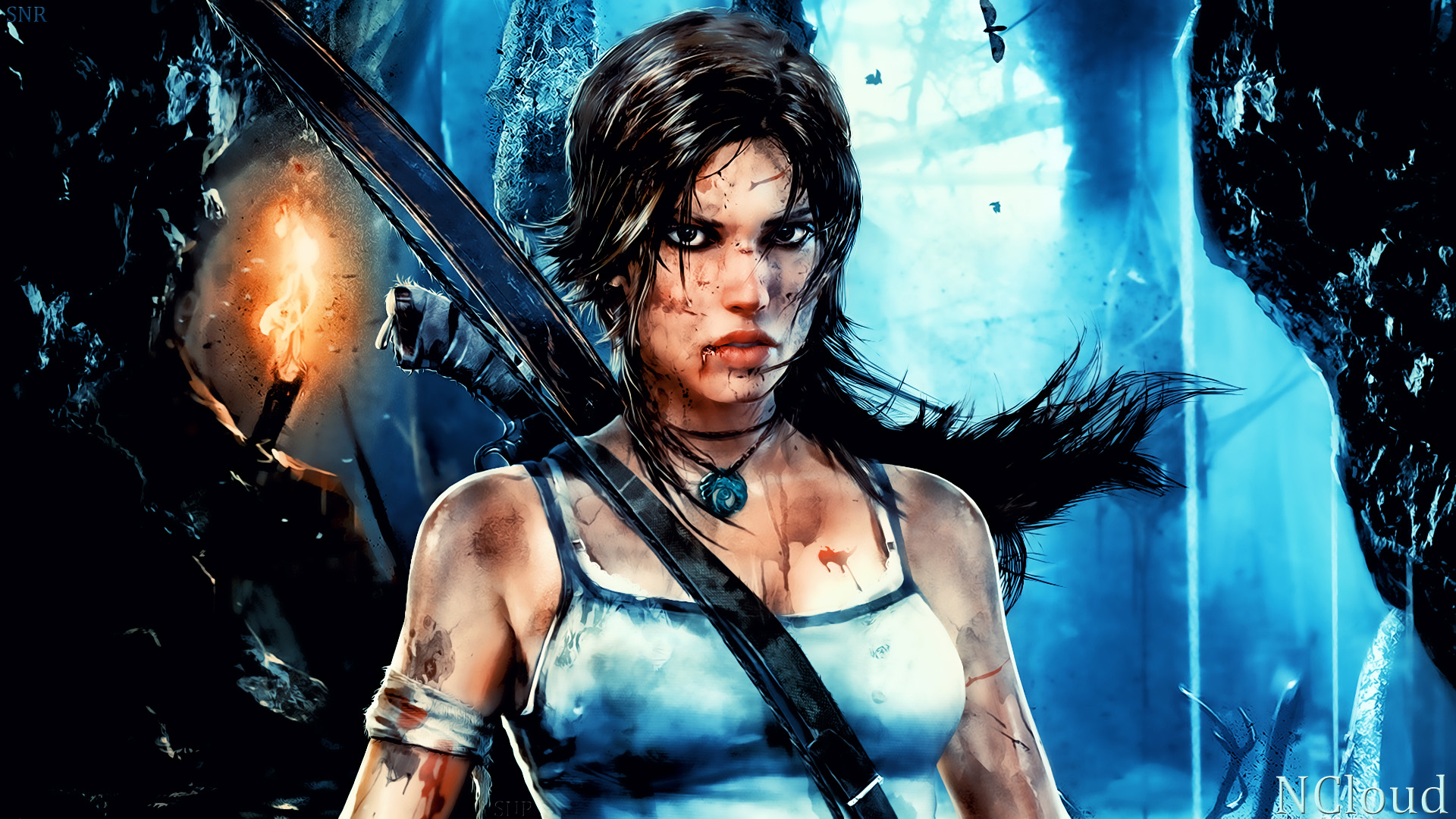 Tomb Raider 3d Wallpaper 2013 HD Wallpaper