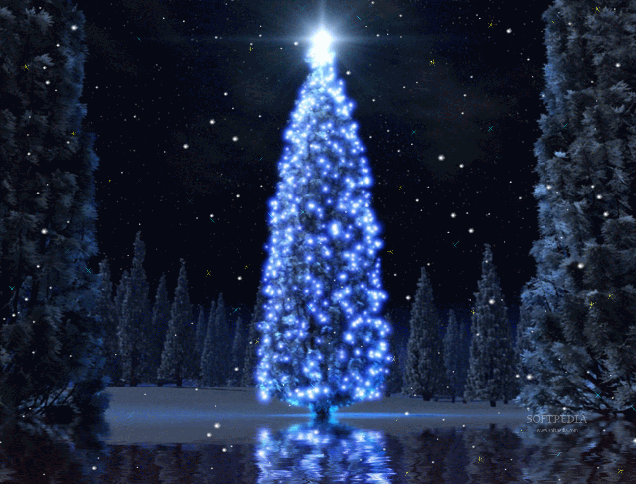 Christmas Tree Animated Wallpaper   This wallpaper will display an