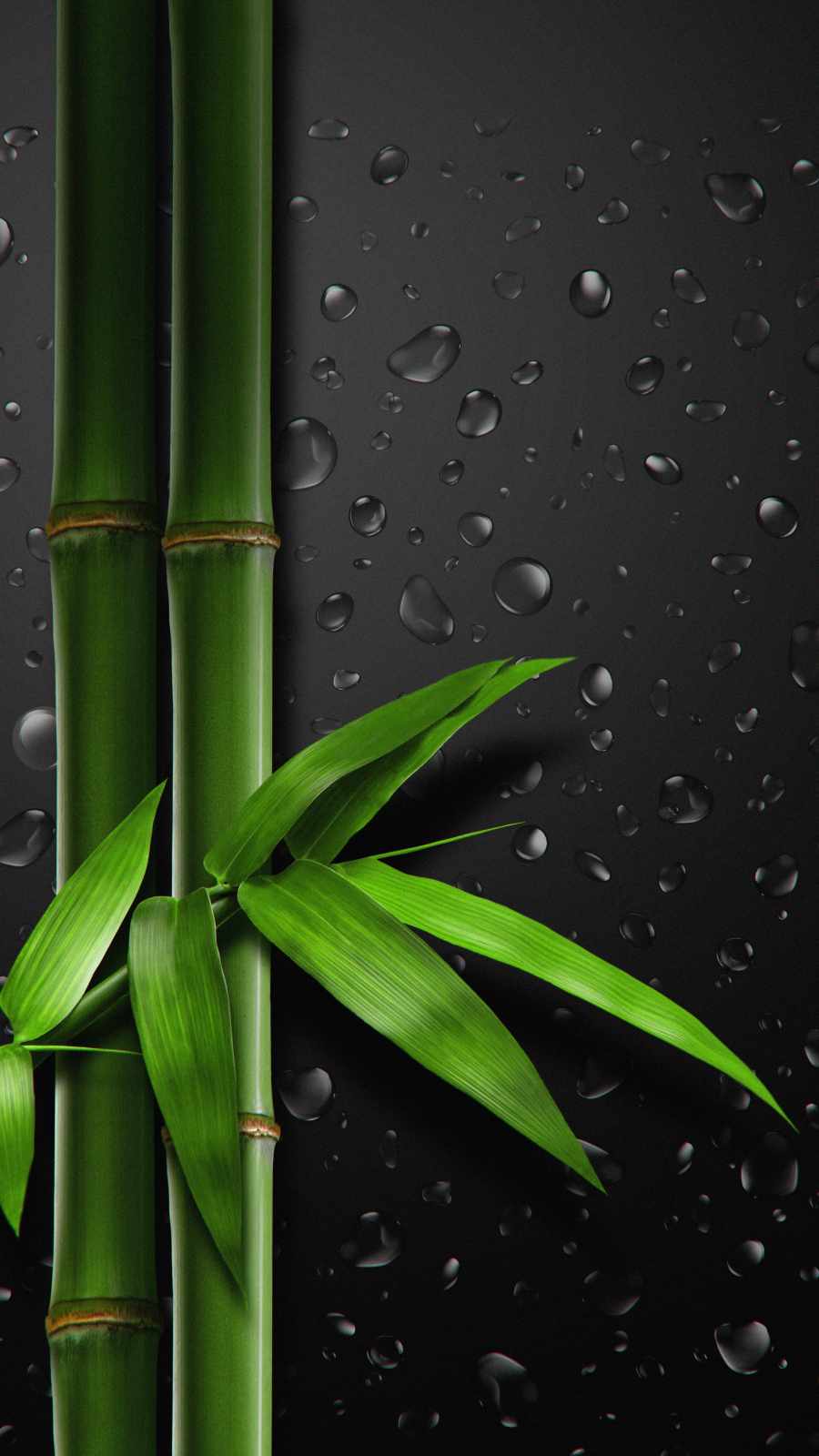 Bamboo Tree Wallpaper