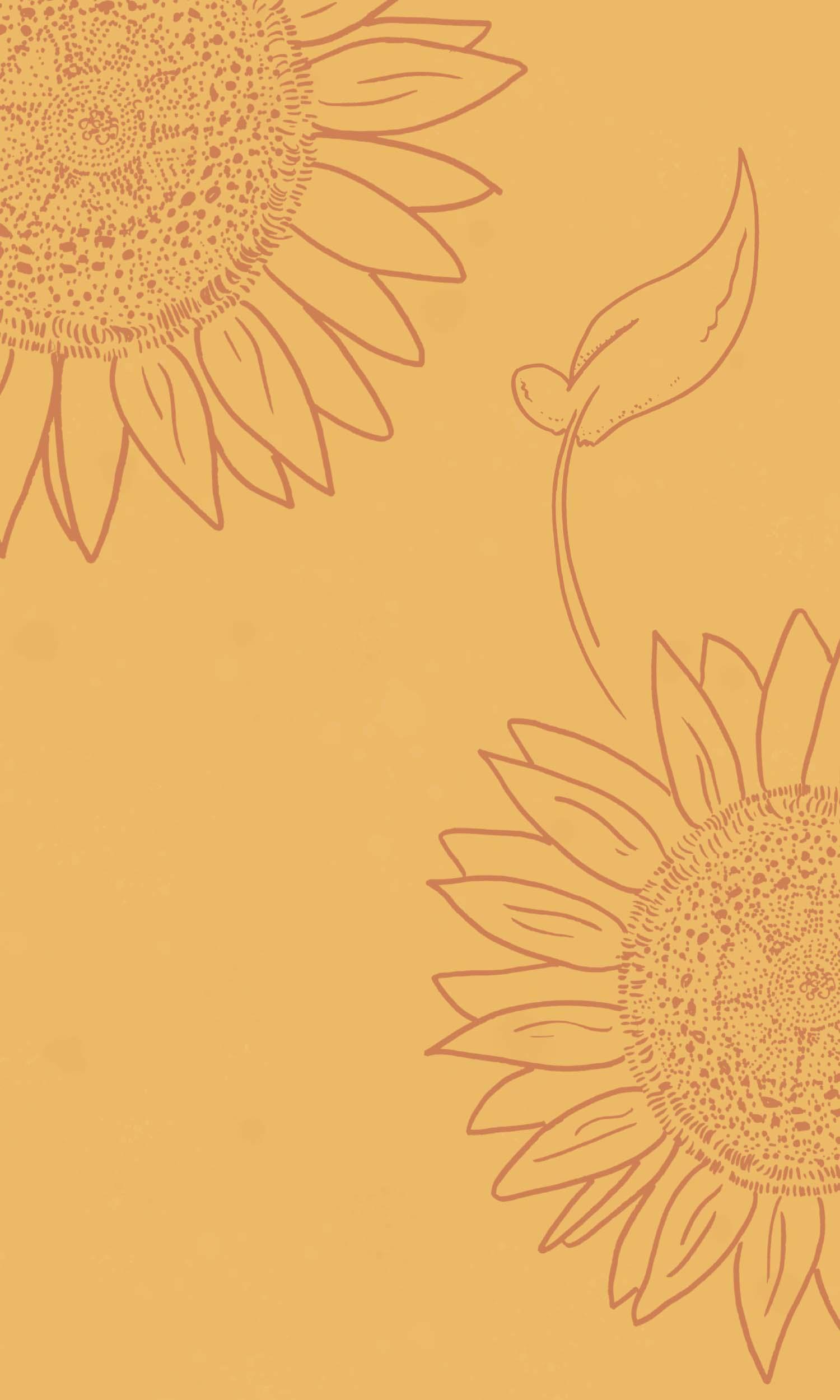 Sunflower iPhone Wallpaper Phone Background Verderamade