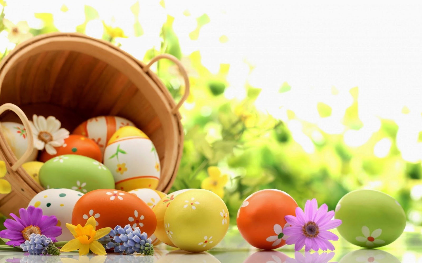 Easter Festival Image HD Wallpaper Bunny Animated Photos