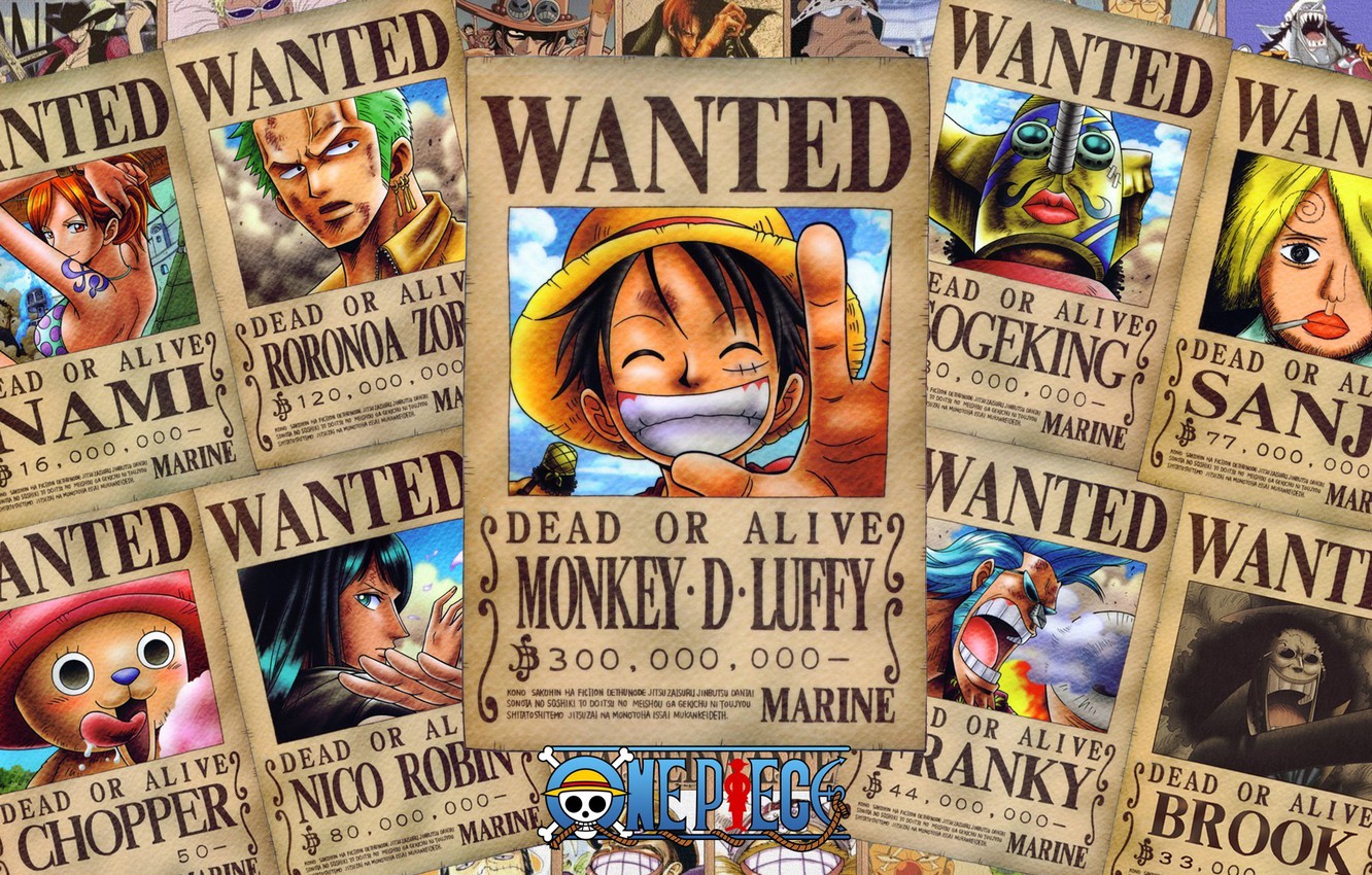 Wanted One Piece Poster Store Official Anime Posters India  Ubuy