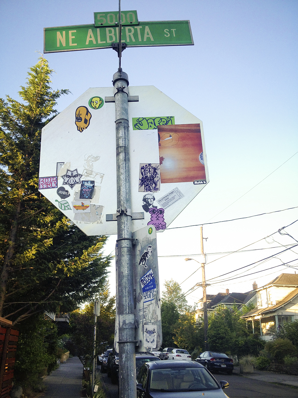 Hand Blown Glass Plant Hanging Terrarium 38 Eugene Oregon Bluejays. 48