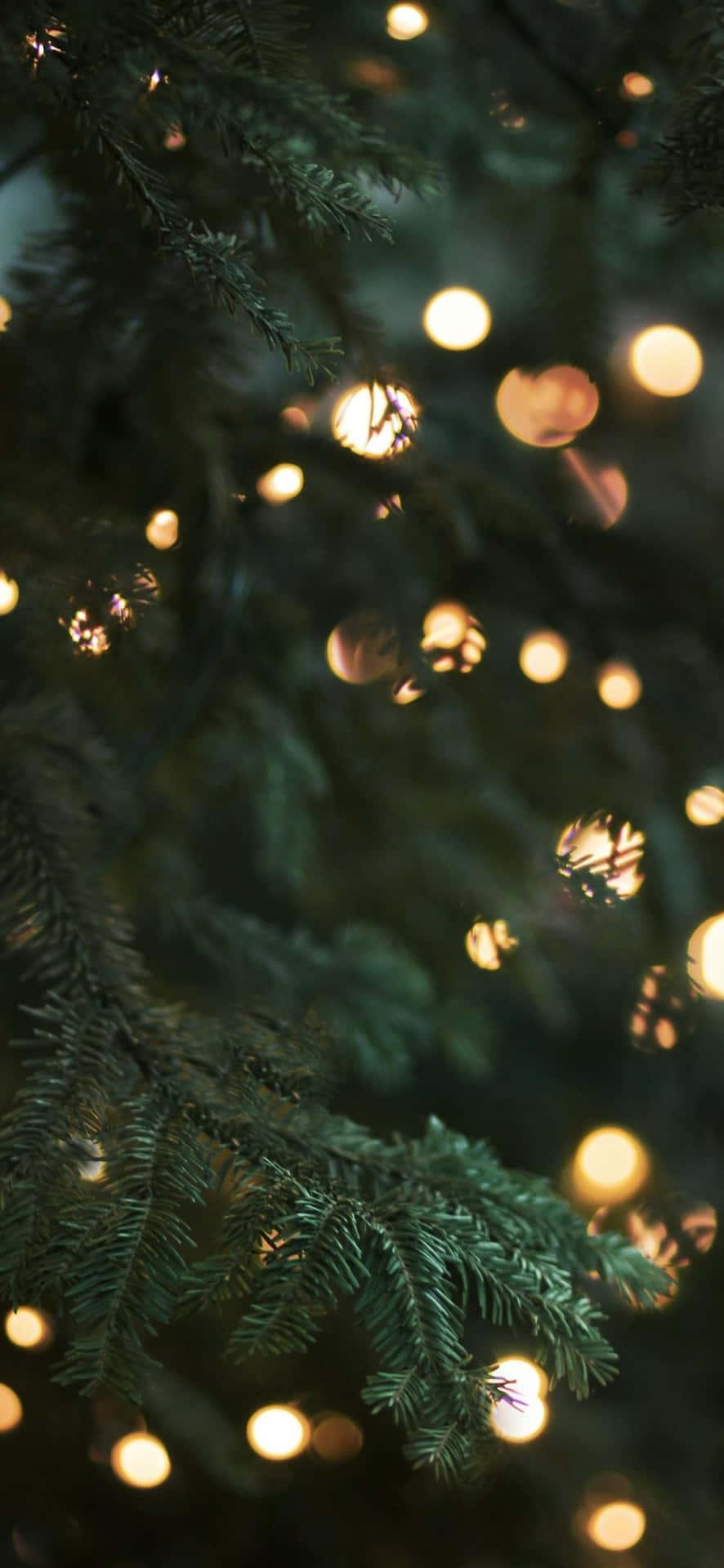 Download Capture the festive spirit with this beautiful Christmas