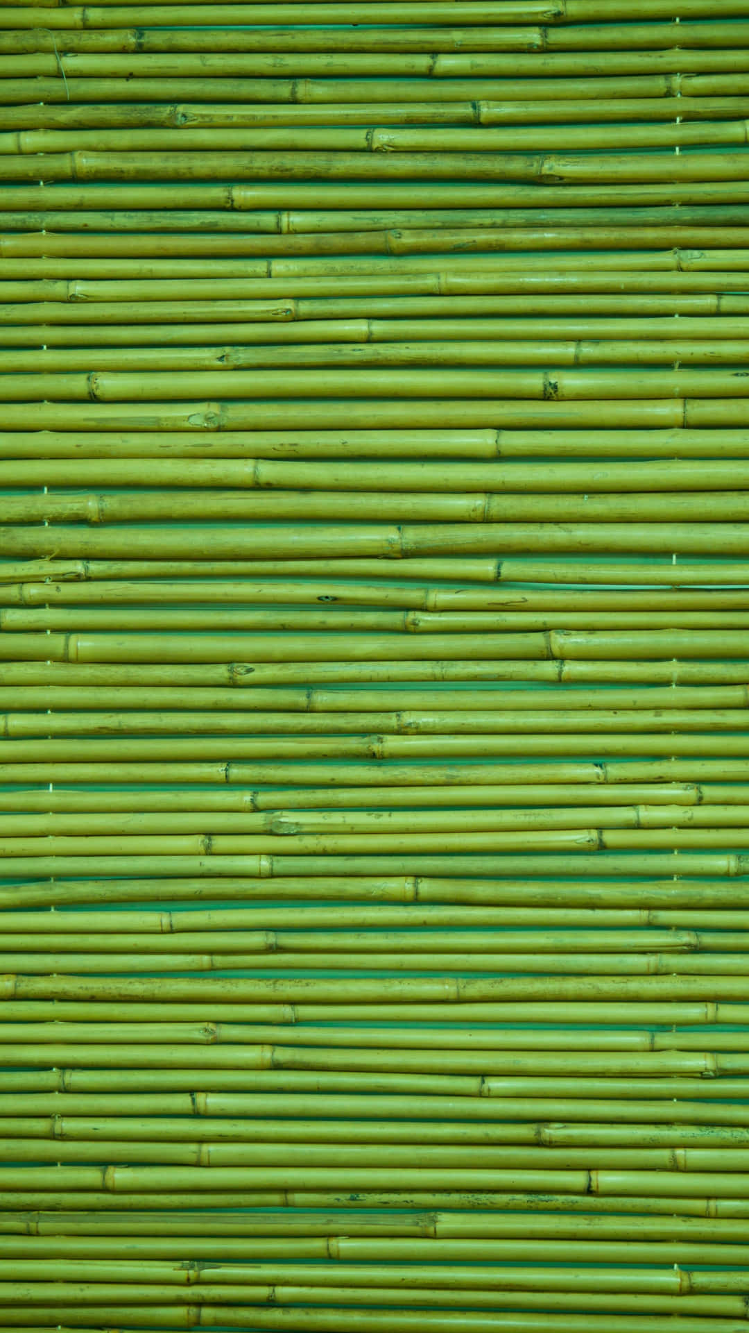 Bamboo Netting Photo Wallpaper